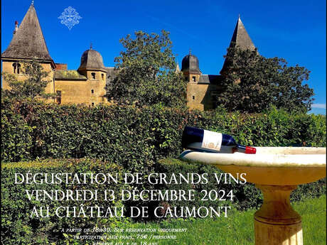 DÉGUSTATION DE GRANDS CRUS AU CHÂTEAU DE CAUMONT