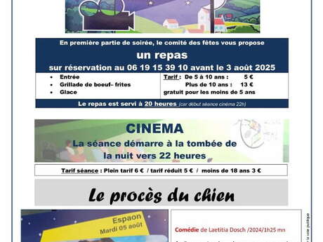 REPAS ET CINÉMA EN PLEIN AIR