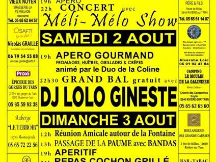 La fête de Boyne