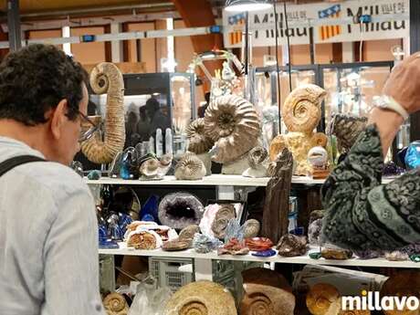 55 ème Bourse internationale aux minéraux et fossiles