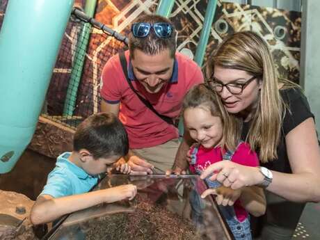 MICROPOLIS LA CITÉ DES INSECTES