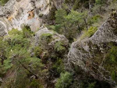 Bureau des Moniteurs Cévennes - Via Ferrata