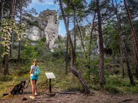 La Cité de Pierres à Montpellier-Le-Vieux - Randonnée pédestre