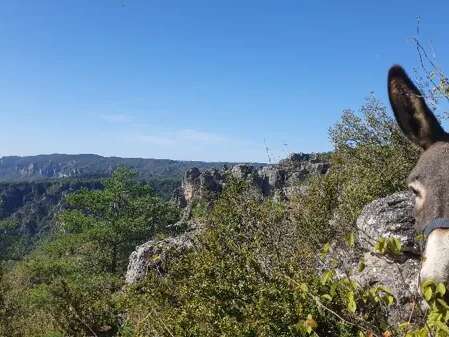 Fed' Ane - Balades et randonnées avec un âne