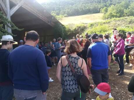 Ferme de Pinet, visite d'un élevage de brebis en agroécologie