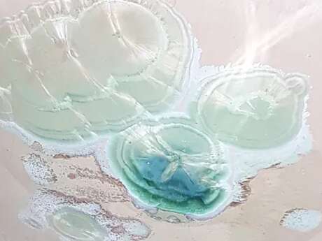 Atelier Terralhas - Eliane Regimbeau