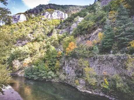Dourbie Formi 2025 (23.1 km - Festival HOKA Les Templiers)