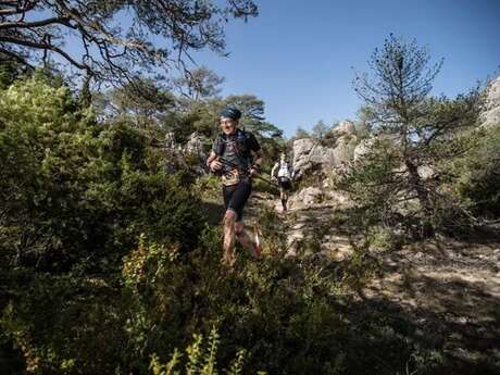 Trail des Troubadours 2025- 12 Km - Festival HOKA les Templiers