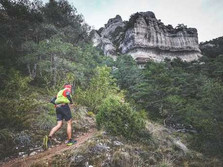 Marathon des Causses 2025  (36.1 km - Festival HOKA les Templiers)