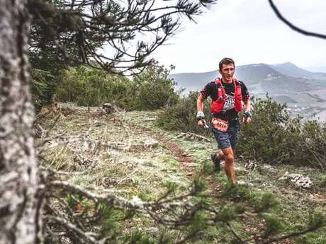 Monna Lisa Trail 2025 (28.5 km - Festival HOKA les Templiers)