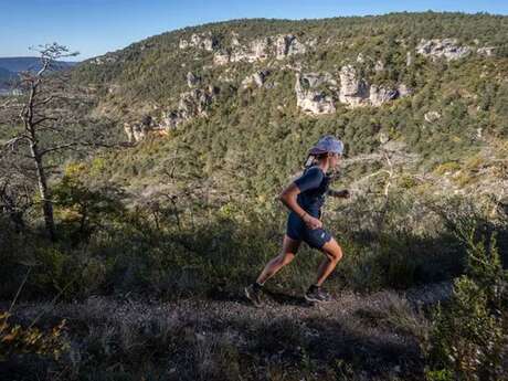 Boffi Fifty 2025 (48.5 km - Festival HOKA les Templiers)
