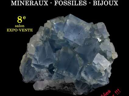 8eme Salon Minéraux Fossiles Bijoux