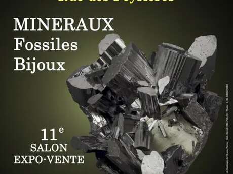 11e Salon des Minéraux Fossiles Bijoux