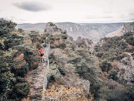 Trail de la Cité de Pierres à Montpellier-Le-Vieux