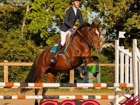 Concours CSO