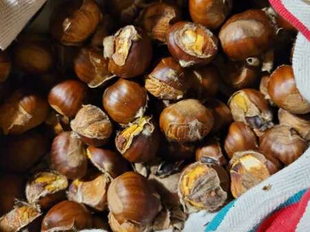 Grillée de châtaignes et soirée Halloween