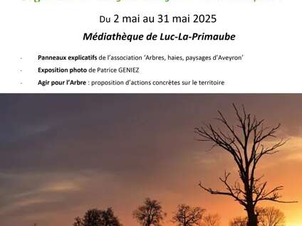 Exposition Ségal'Arbre