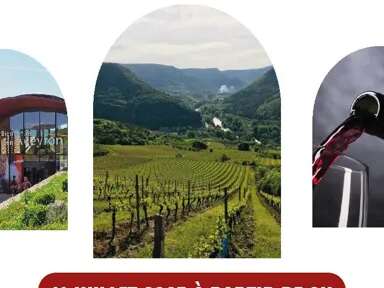 Aveyron Wine Tour