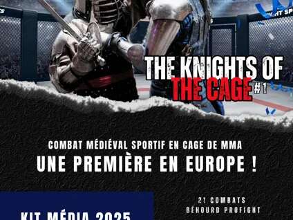 Tournoi de profight : combat médiéval en armure
