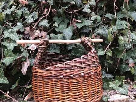 Stage de vannerie : tressage d'un panier asymétrique - L'Oiseau Vanneur - Jasse du Larzac