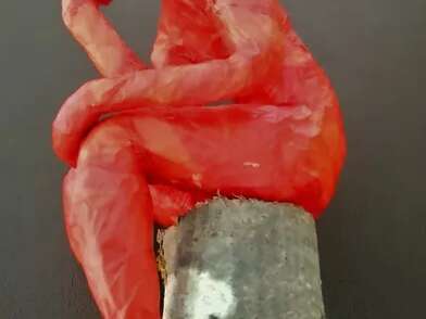 Visite/atelier pour tous autour des collections permanentes " Comme Rodin ".