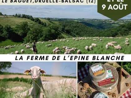 Visite de la Ferme
