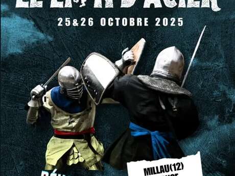 Le Lion d'Acier - Behourd duels
