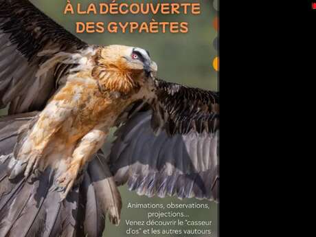 Balade d’observation “ Les ailes des corniches du Rajol”  - LPO
