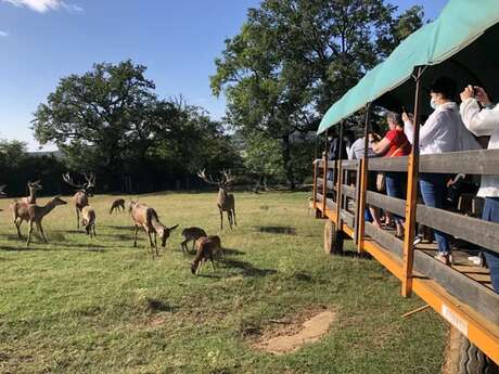 Visite en roulotte du Parc animalier Saint-Hubert