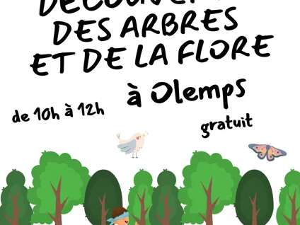 Animation sur les arbres et la flore
