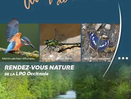 Les oiseaux du cirque de Saint-Marcellin - LPO