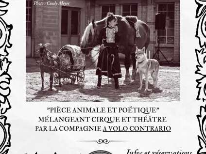 Spectacle « Mrs Banks » - centre équestre Le Sonnac
