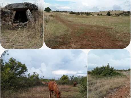 Mercredis cultur'actifs : sortie tumulus, atelier et goûter