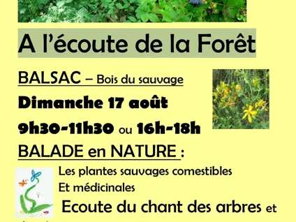 Balade Nature à Druelle-Balsac
