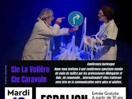 Conférence burlesque "Moi ado d'un parent (et vice versa)" Conférence burlesque "Moi ado d'un parent (et vice versa)"