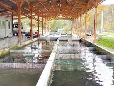 Pisciculture d'Estaing