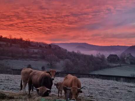 La Ferme des Coustoubis