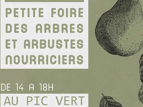 Petite foire des arbres et arbustes nourriciers - le Pic Vert