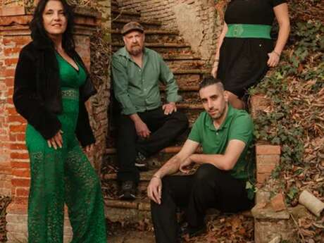 Tara's folk : concert folk irlandais