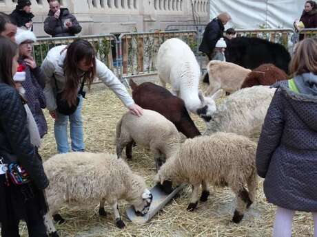 Festival Bonheurs d'Hiver - Mini-ferme