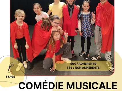 STAGE : Comédie musicale