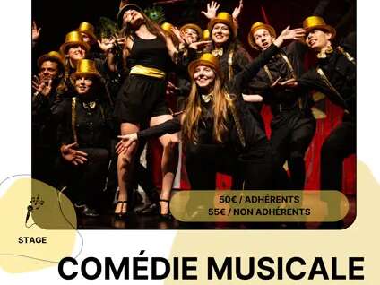 STAGE : Comédie musicale