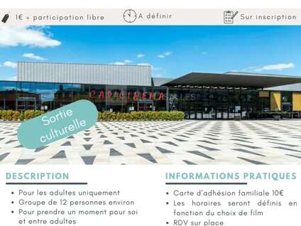 Sortie culturelle : cinéma