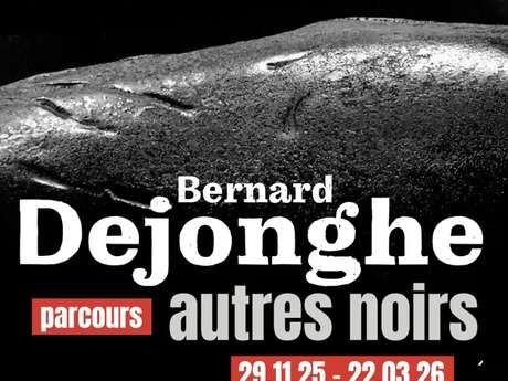 MUSÉE SOULAGES : PARCOURS "BERNARD DEJONGHE. AUTRES NOIRS"