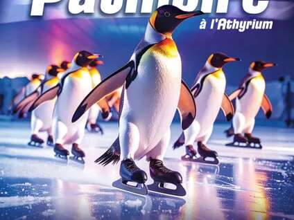 Patinoire à Onet le Château