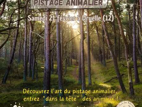 Stage Pistage Animalier (Adultes)