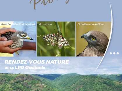 Les rapaces de la haute vallée du Tarn - LPO Aveyron