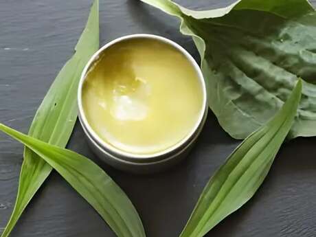 Atelier réalisation d'un baume médicinal naturel