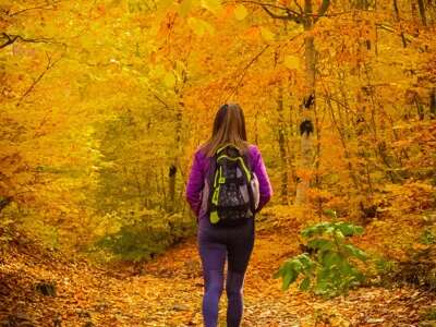 Sortir et compagnie : balade ou aprem jeux