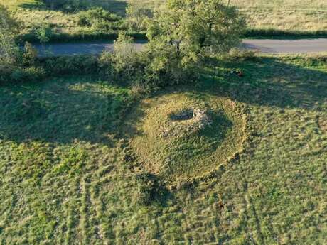 Conférence au musée Fenaille : "Des os aux individus : comment le projet Link redonne une identité aux défunts des dolmens de l'Aveyron"